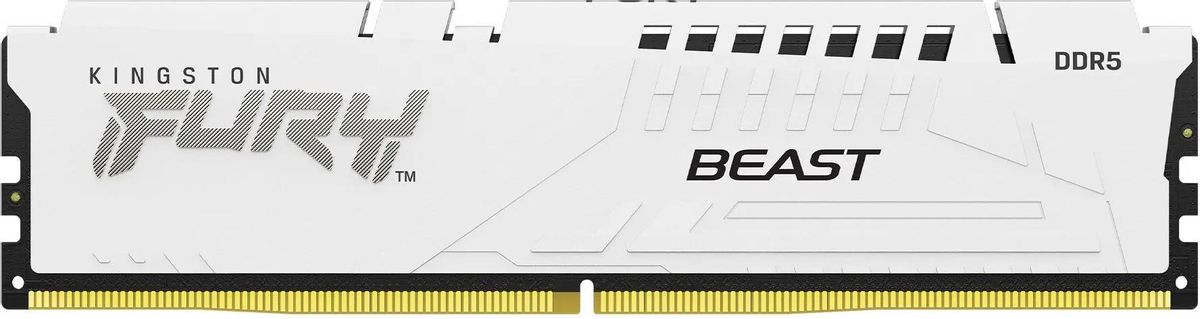 Память оперативная Kingston KF556C36BWE-16